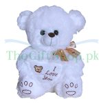 White Teddy Bear