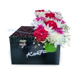 The Ultimate Box - Image 2